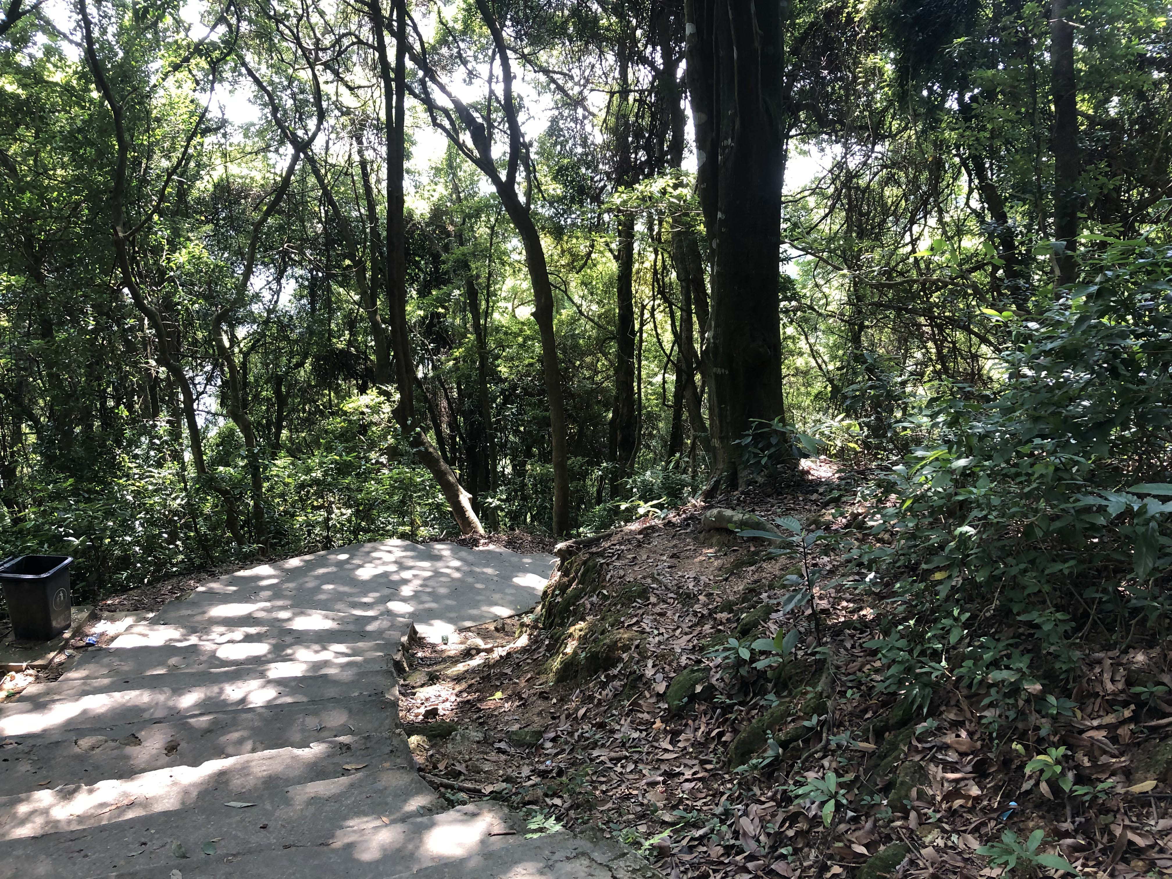 Luofu Mountain Scenery