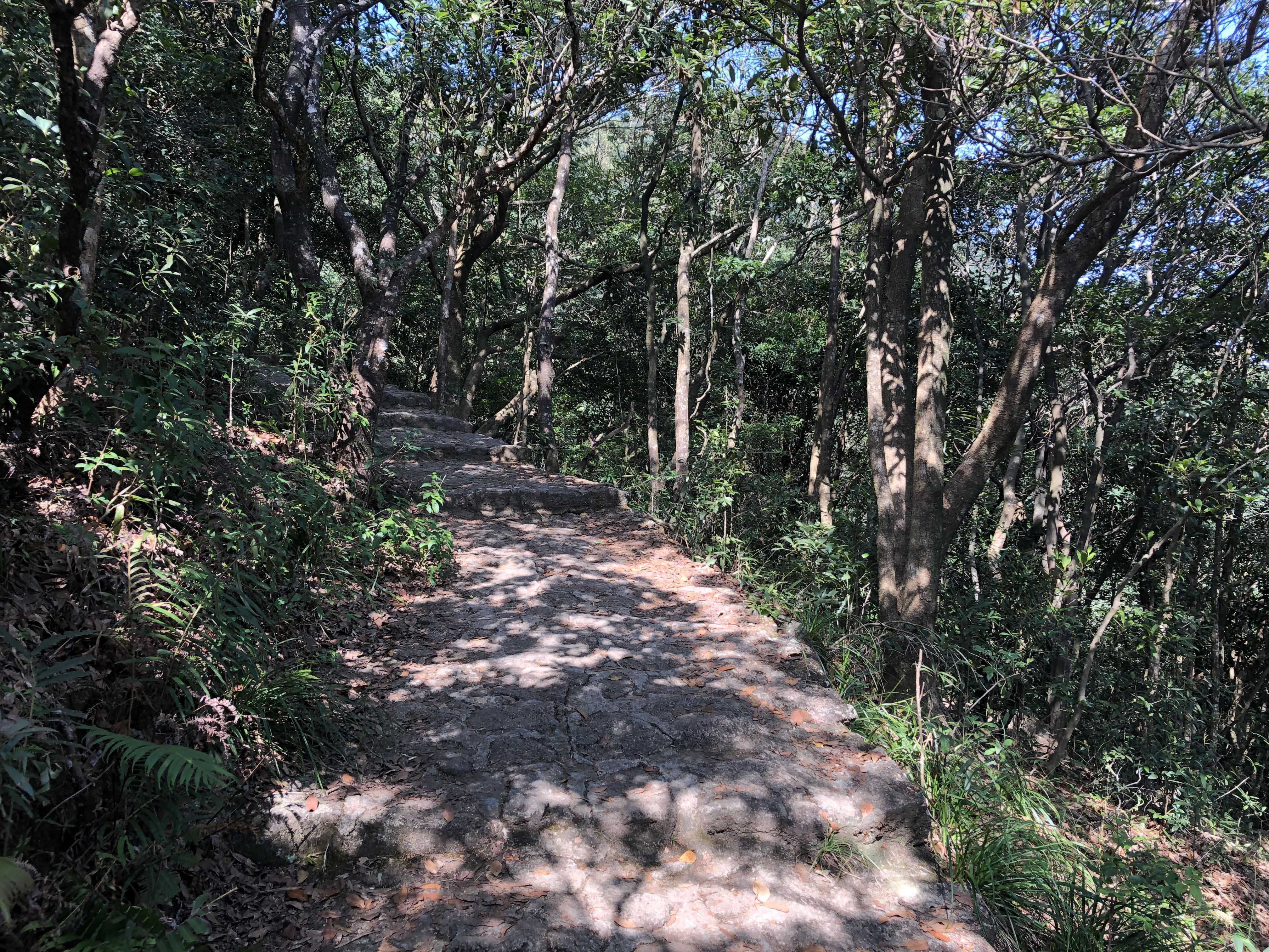 Luofu Mountain Scenery