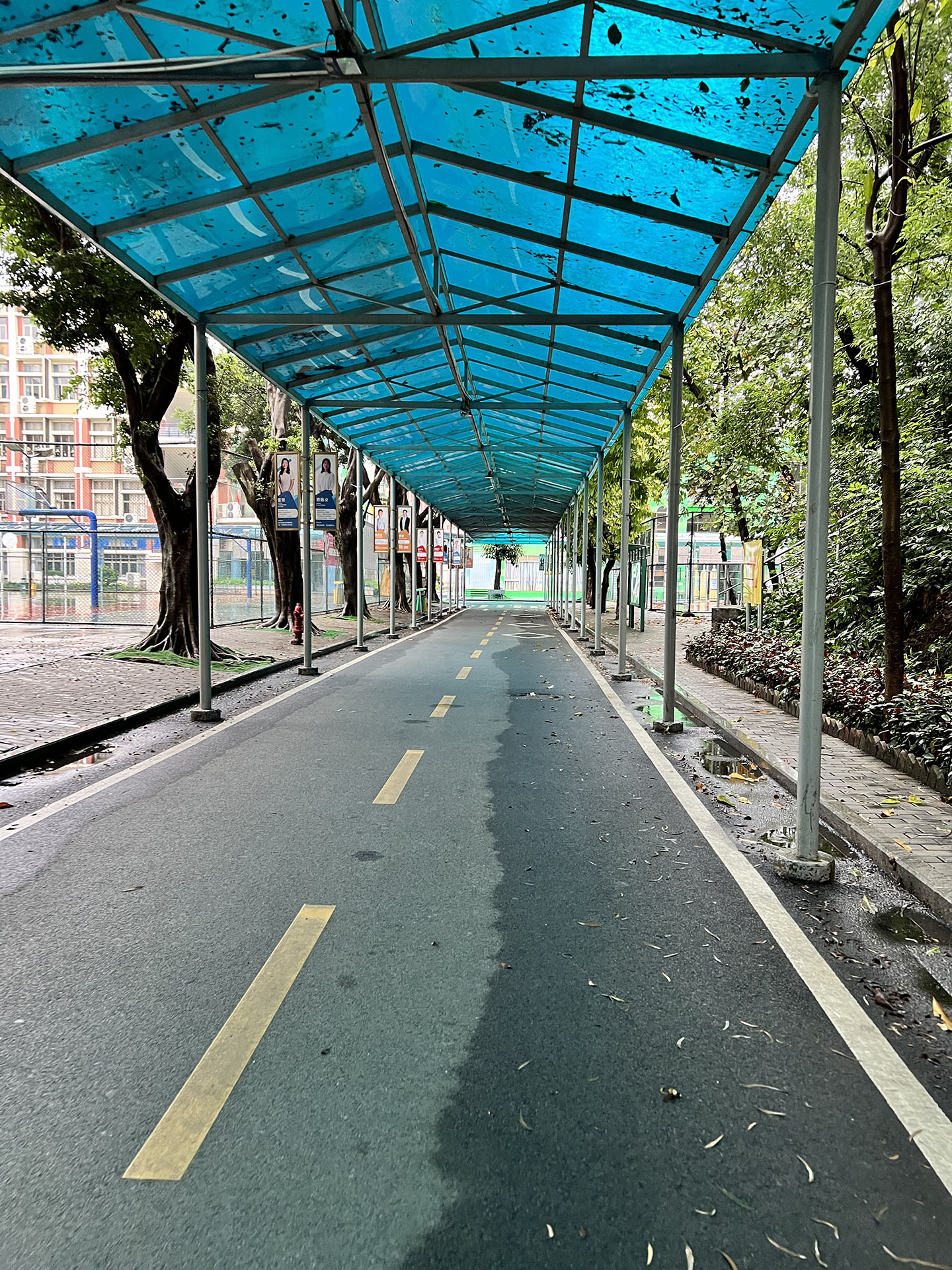 School Path to Canteen