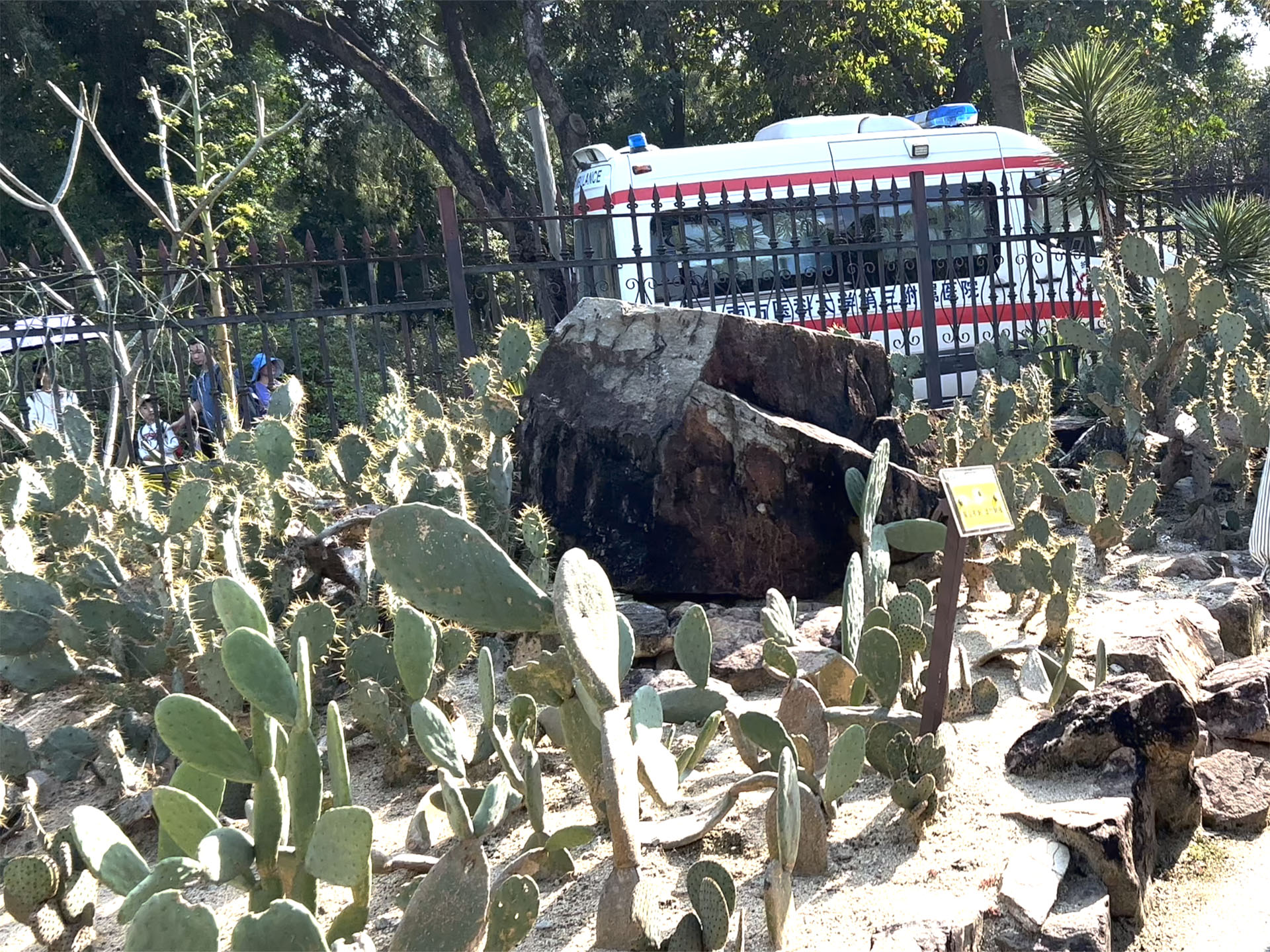 Cactus and Ambulance outside Greenhouses