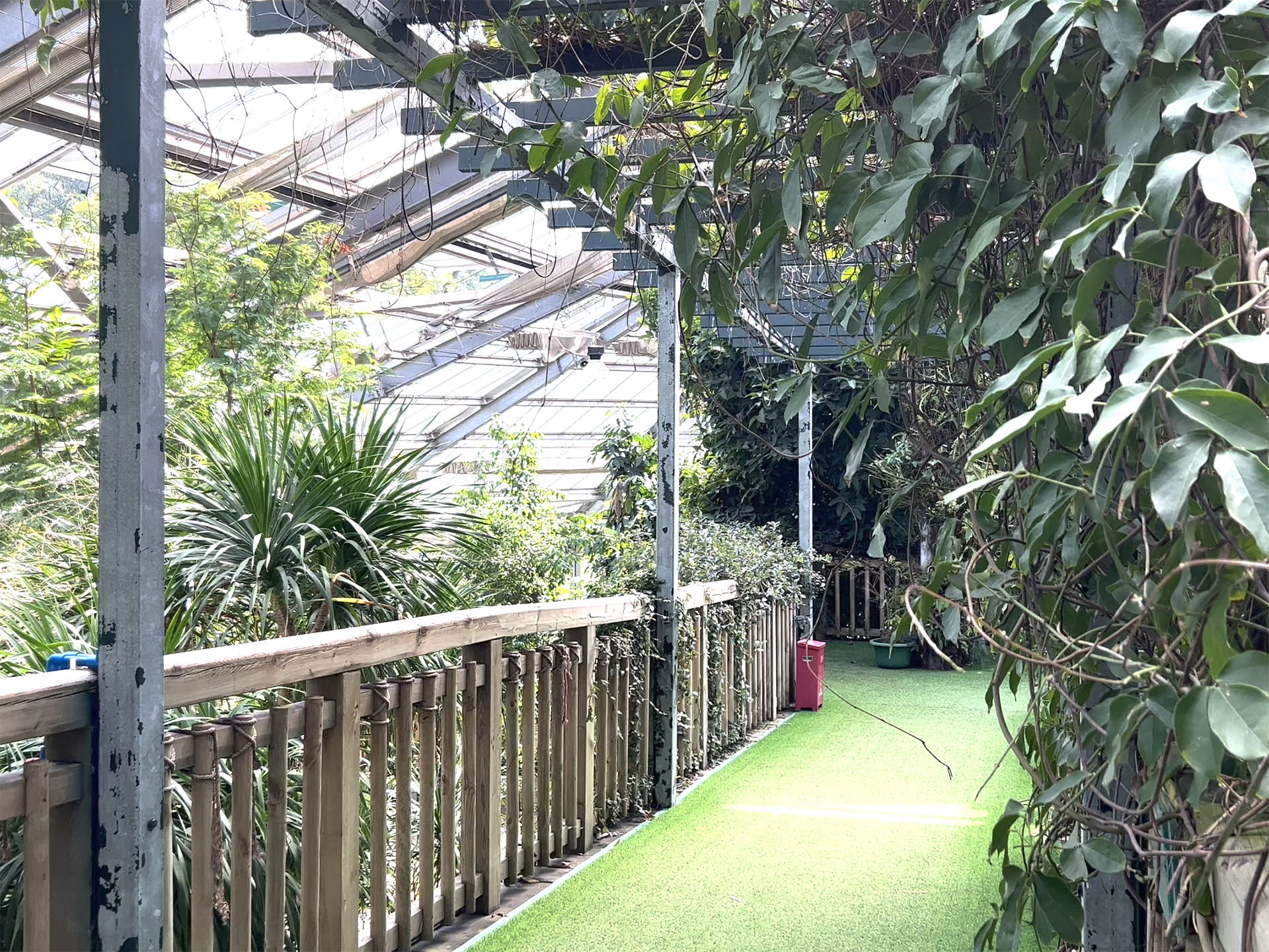 Bridge in Greenhouse