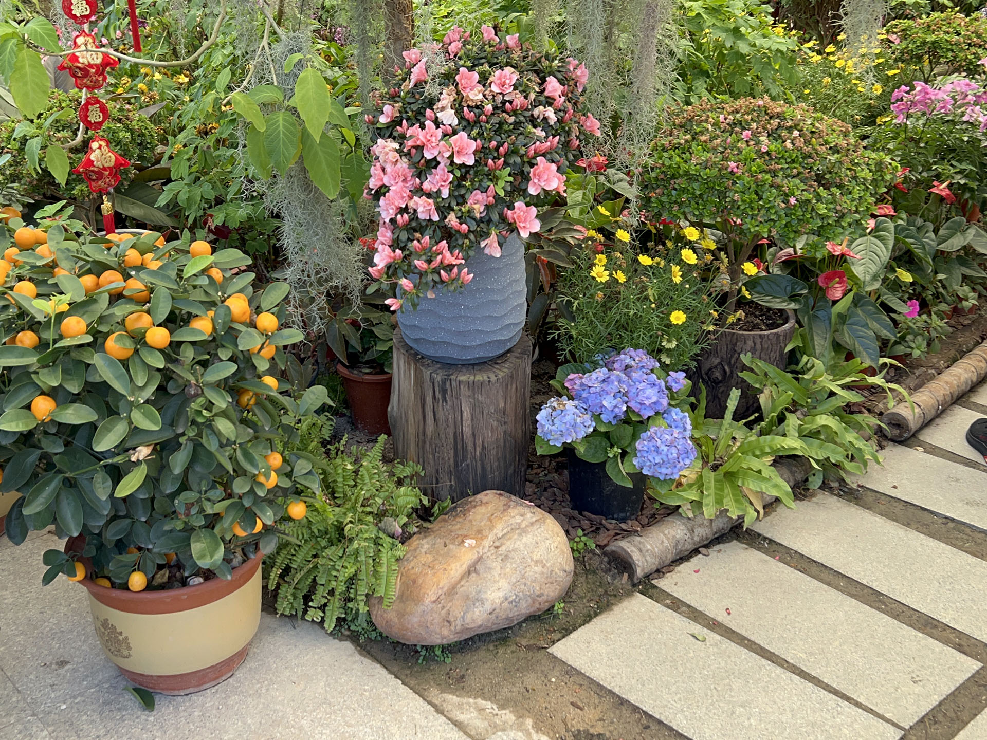 Welcome Flowers in front of Greenhouses 1