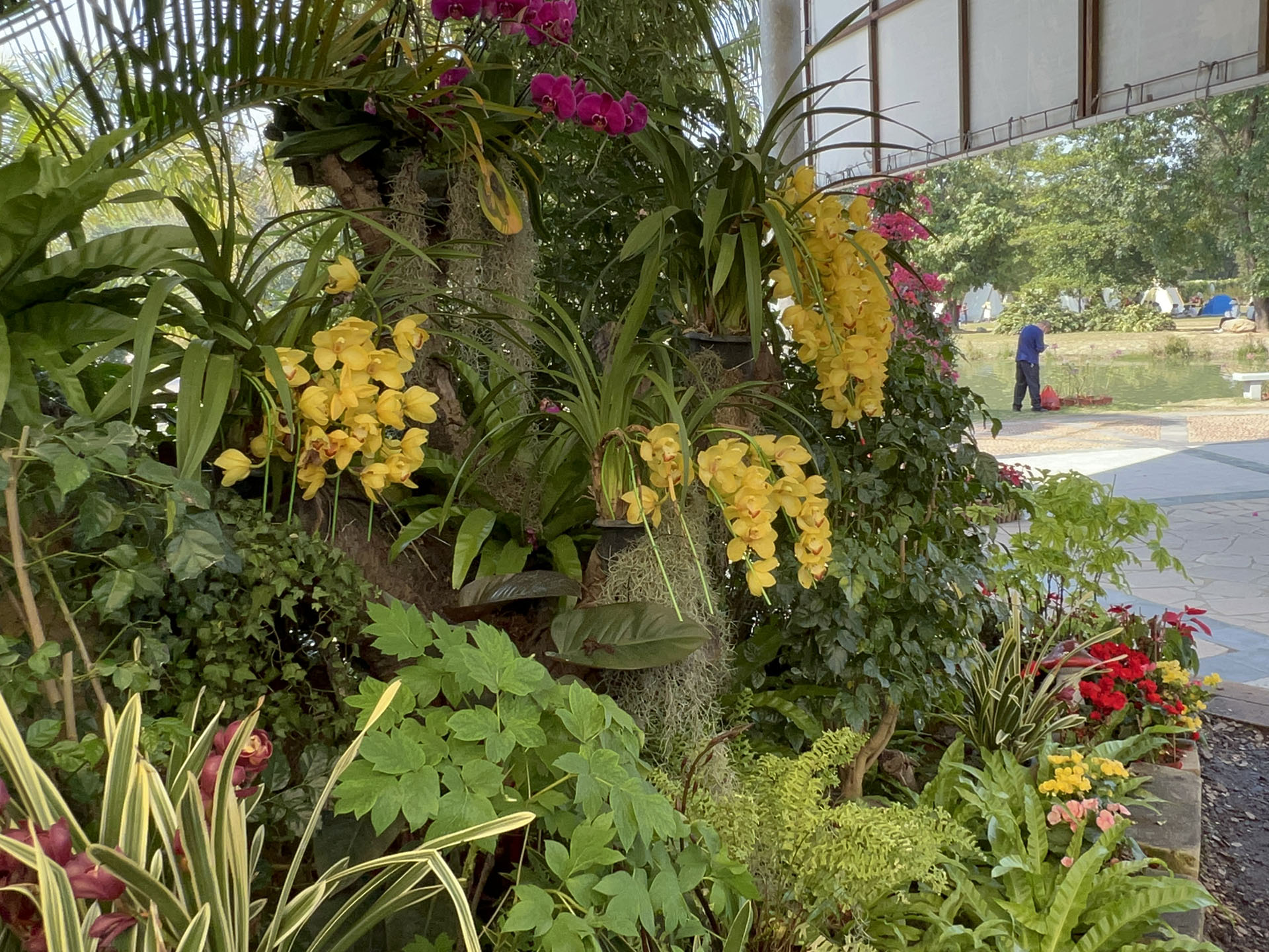 Welcome Flowers in front of Greenhouses 2