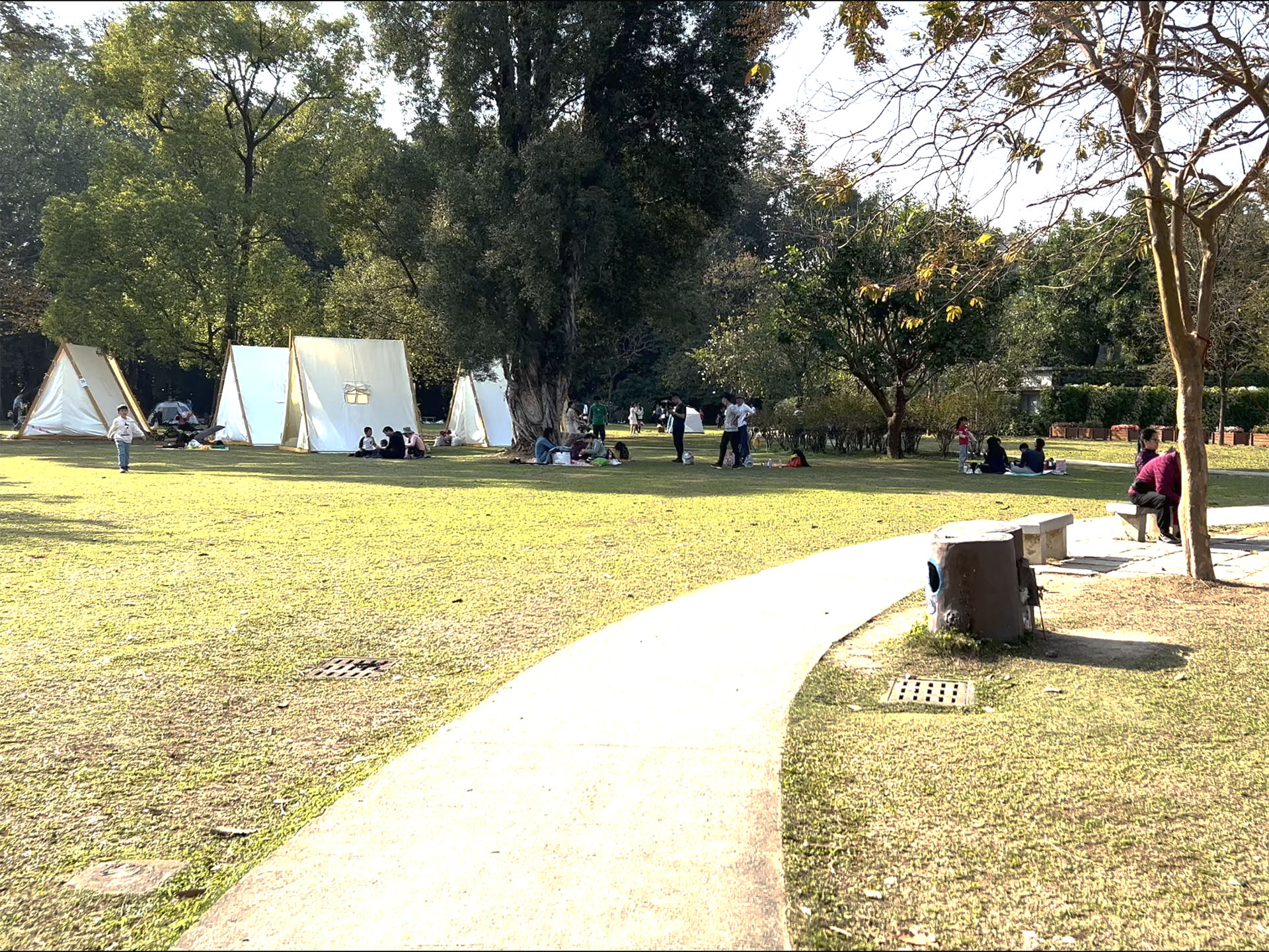 Path with Camping Tents