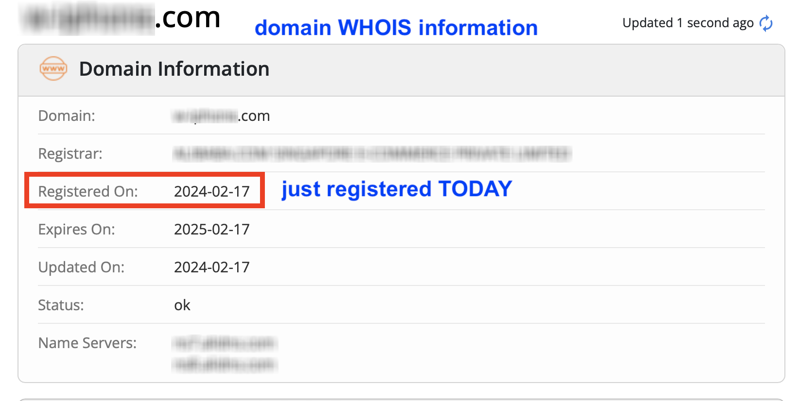 Phishing Website WHOIS Information
